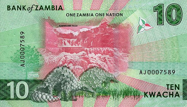 10 квача Замбии 2024 года. Р-W62 10 квача Замбии 2024 года. Р-W62
